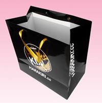 sac de papier de achat plié élégant de 2017 coutumes avec le logo de relief par or
