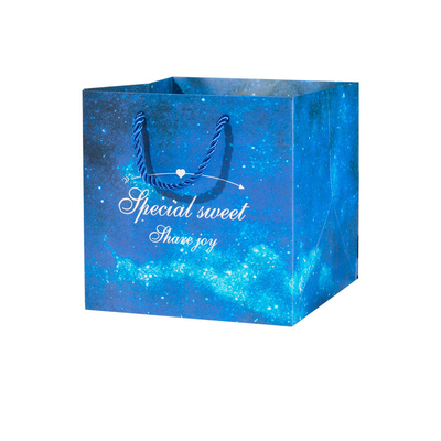 Un bon prix. Papier large imprimé fait sur commande Carry Bags Manufacturers de papier de gousset de place d'achat en ligne