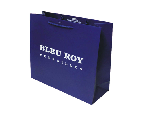 Un bon prix. Sacs de papier bleus faits sur commande écologiques de cadeau de milieu imprimé avec des poignées en ligne